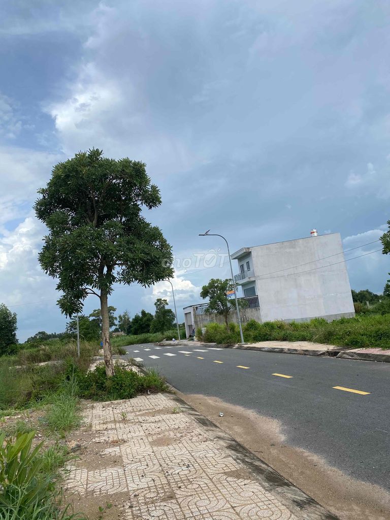 4336461 ảnh đại diện 1