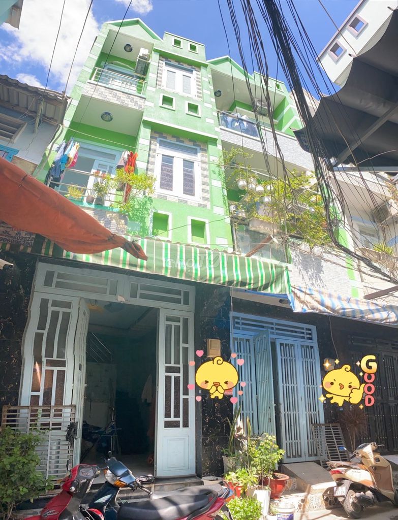 4336848 ảnh đại diện 1