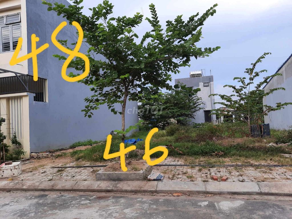 4335923 ảnh đại diện 1