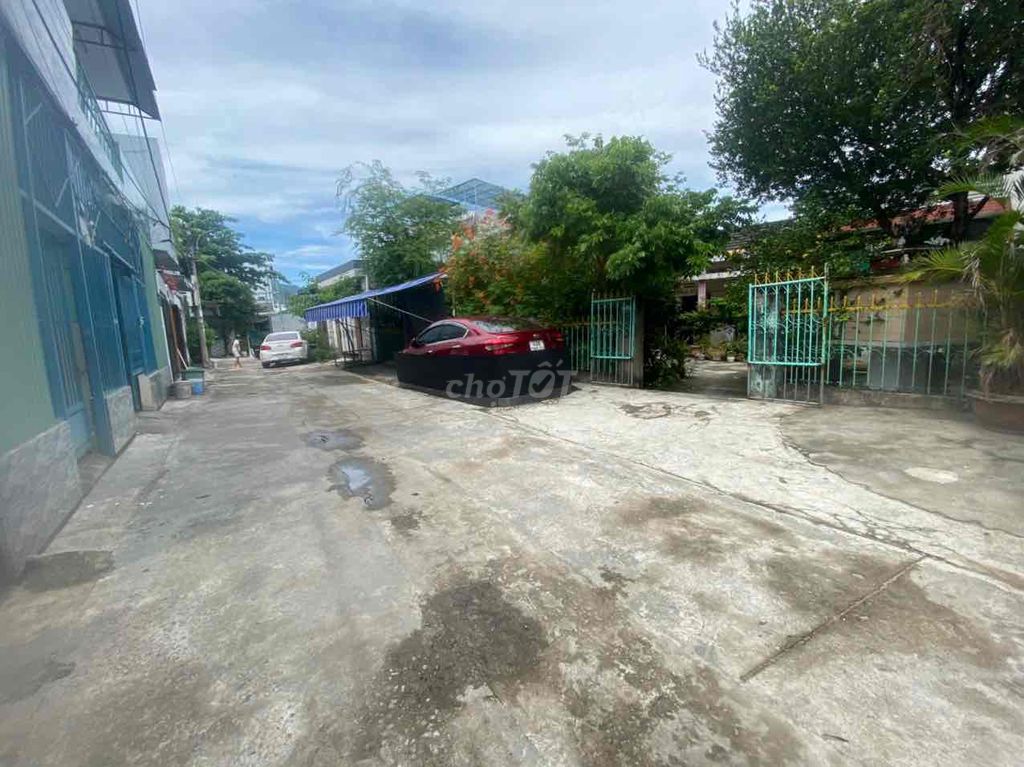 4336843 ảnh đại diện 1