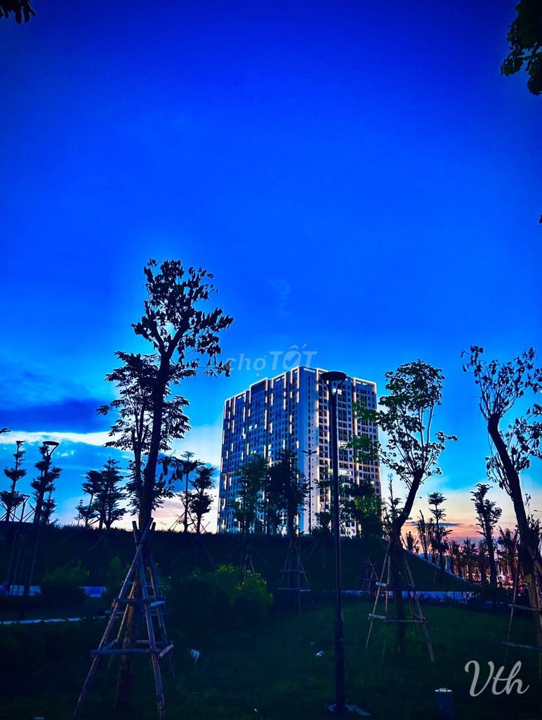 4339618 ảnh đại diện 2