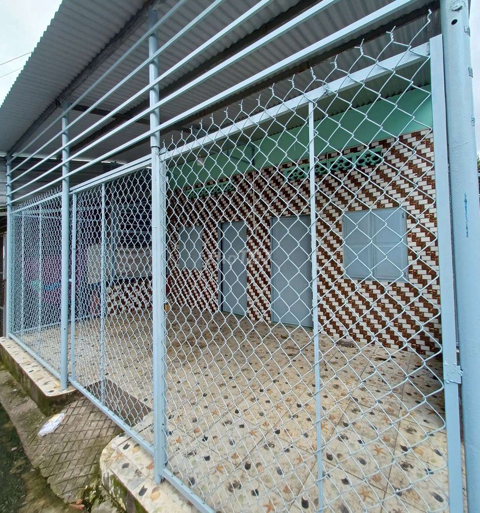 4336306 ảnh đại diện 1