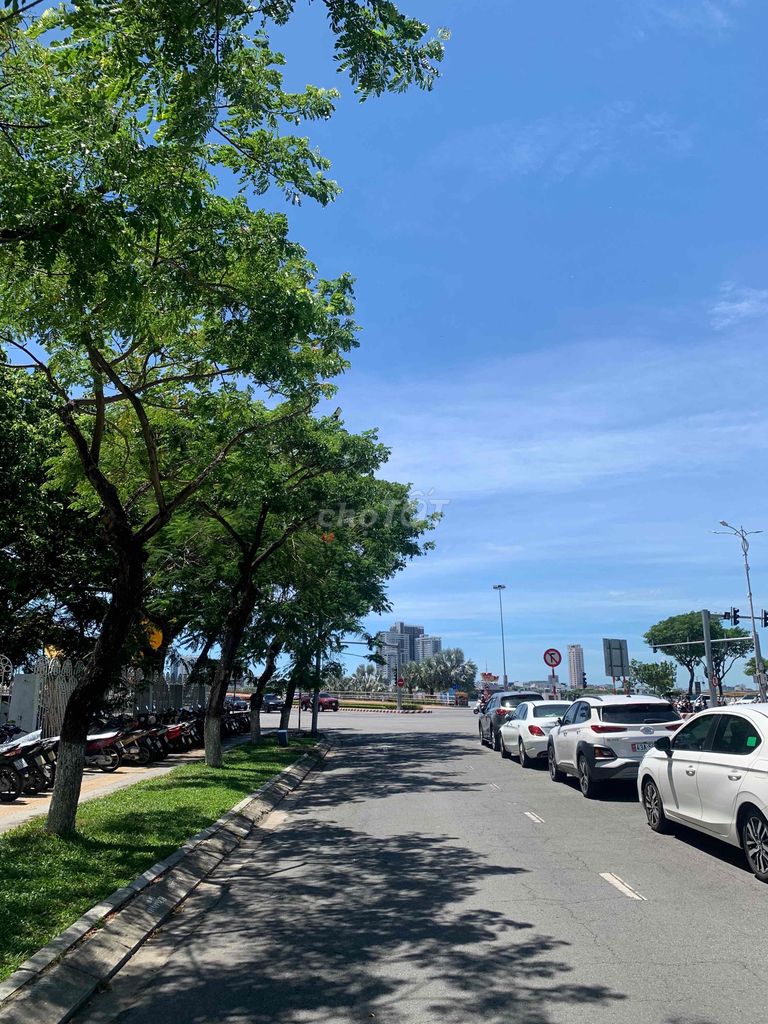 4338916 ảnh đại diện 2