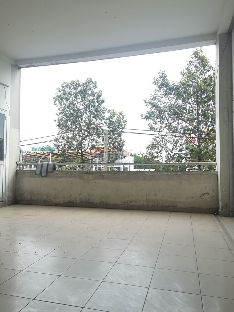 4335976 ảnh đại diện 2