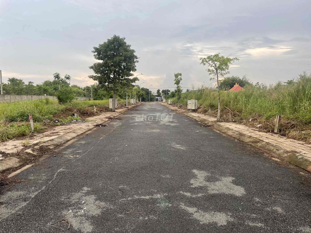 4337866 ảnh đại diện 2