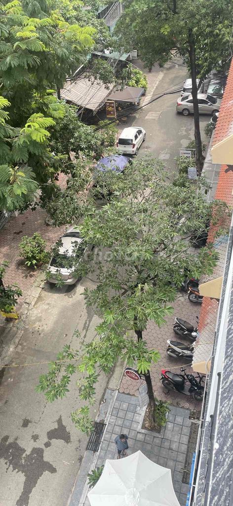 4339864 ảnh đại diện 2