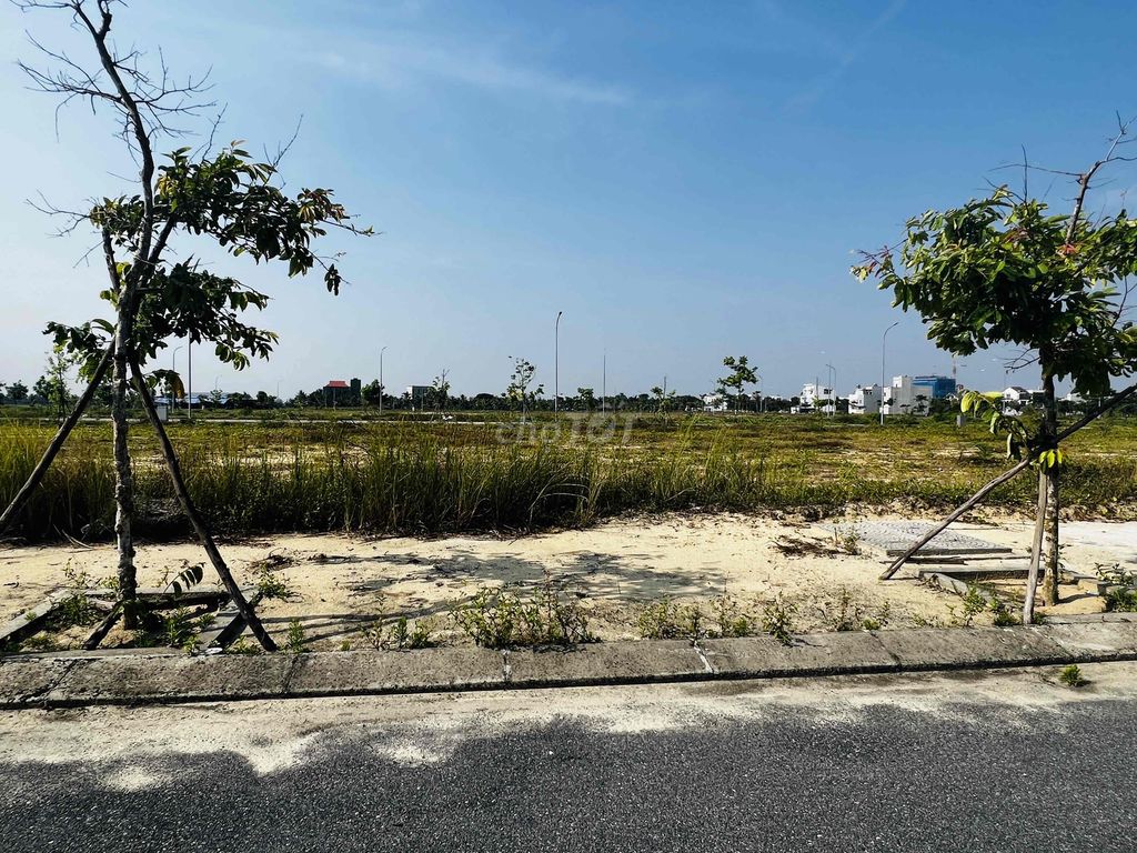 4335916 ảnh đại diện 1