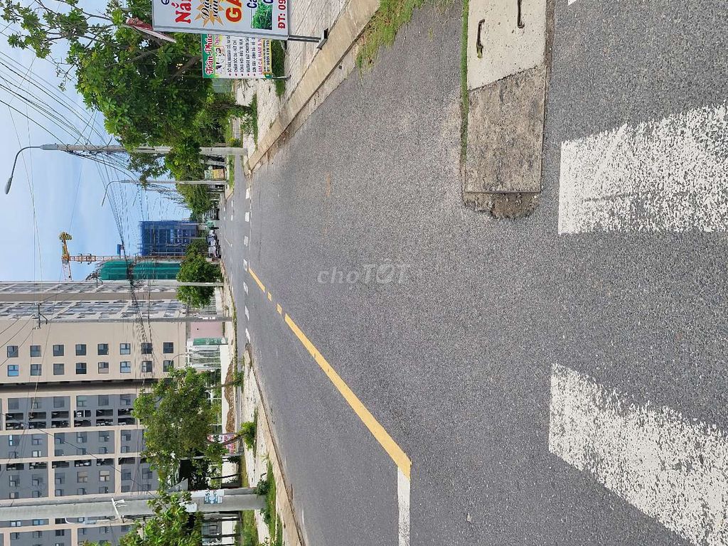 4336162 ảnh đại diện 1