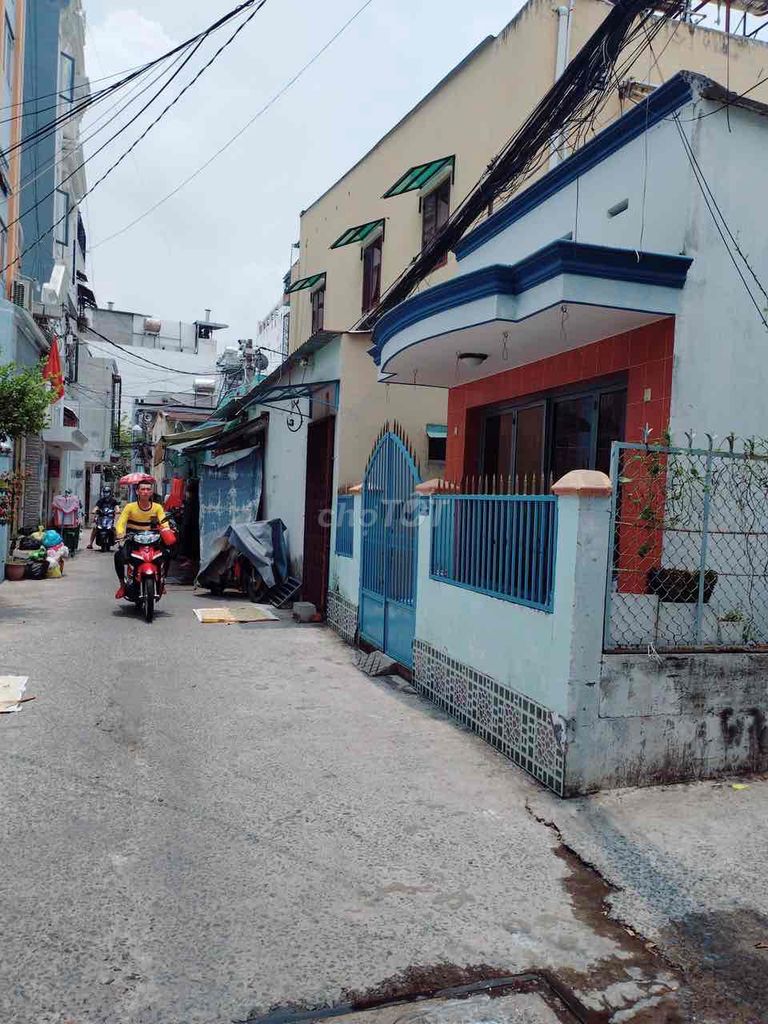 4336042 ảnh đại diện 1