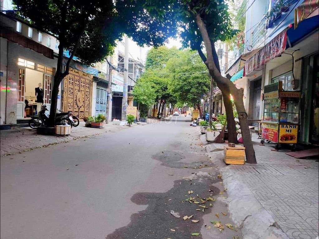 4339408 ảnh đại diện 1