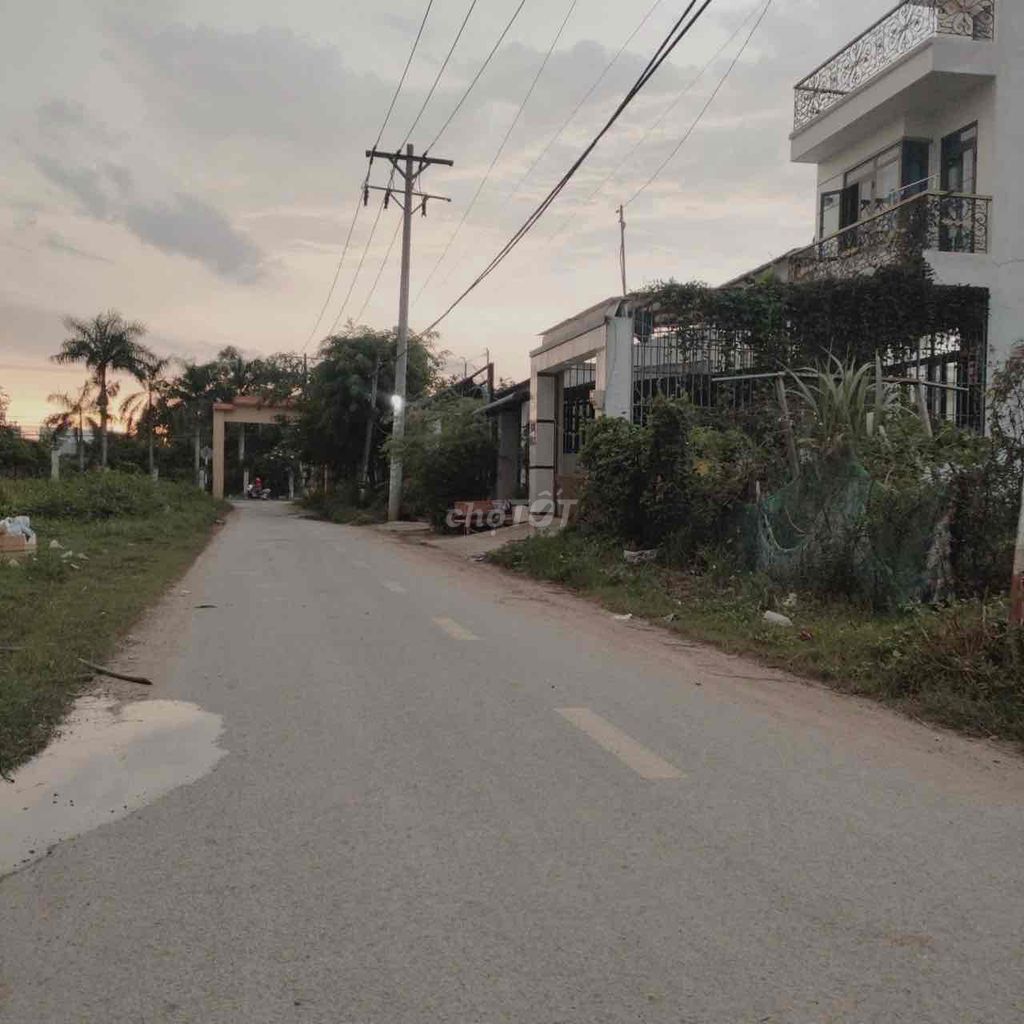 4338803 ảnh đại diện 2