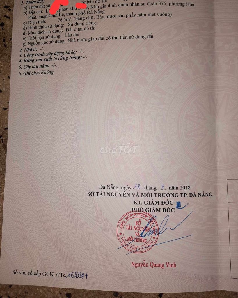 4335923 ảnh đại diện 2
