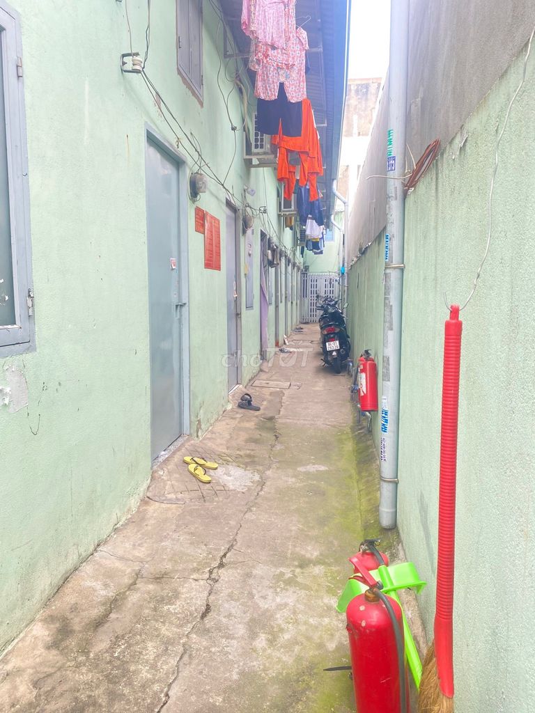 4337168 ảnh đại diện 2