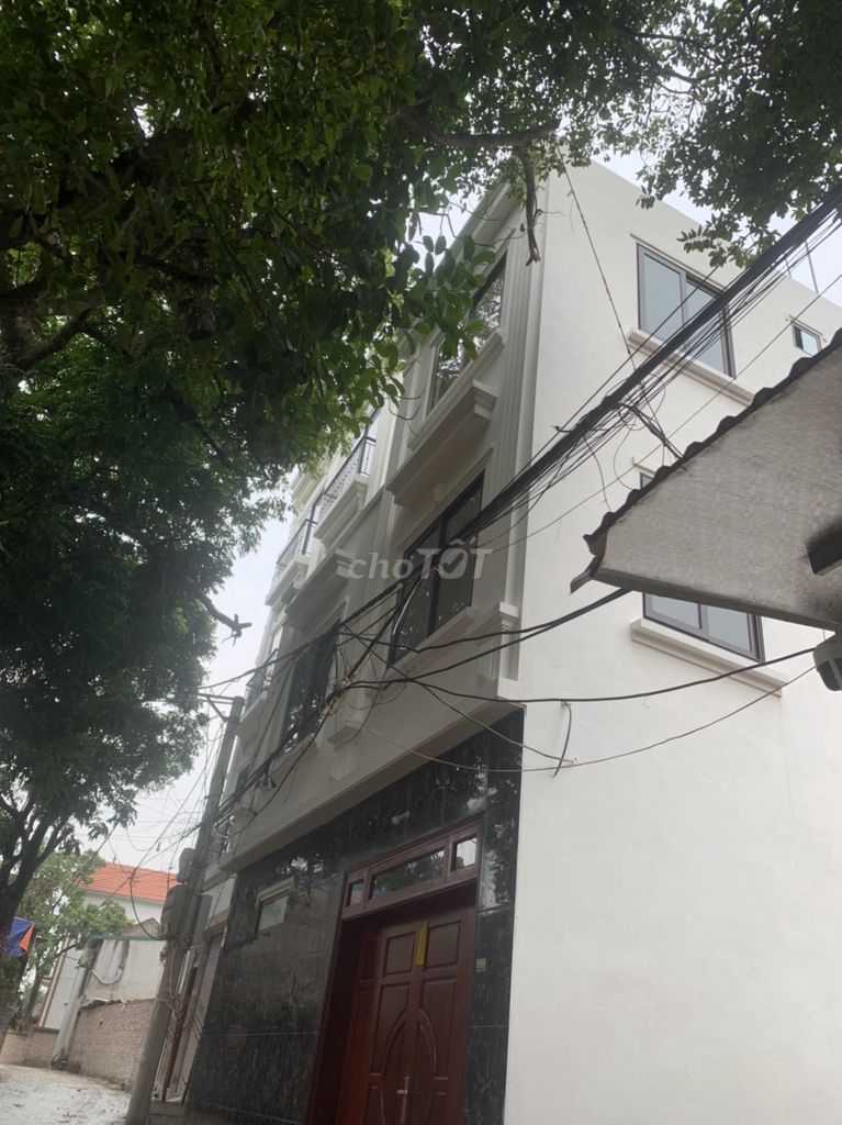 4338541 ảnh đại diện 1