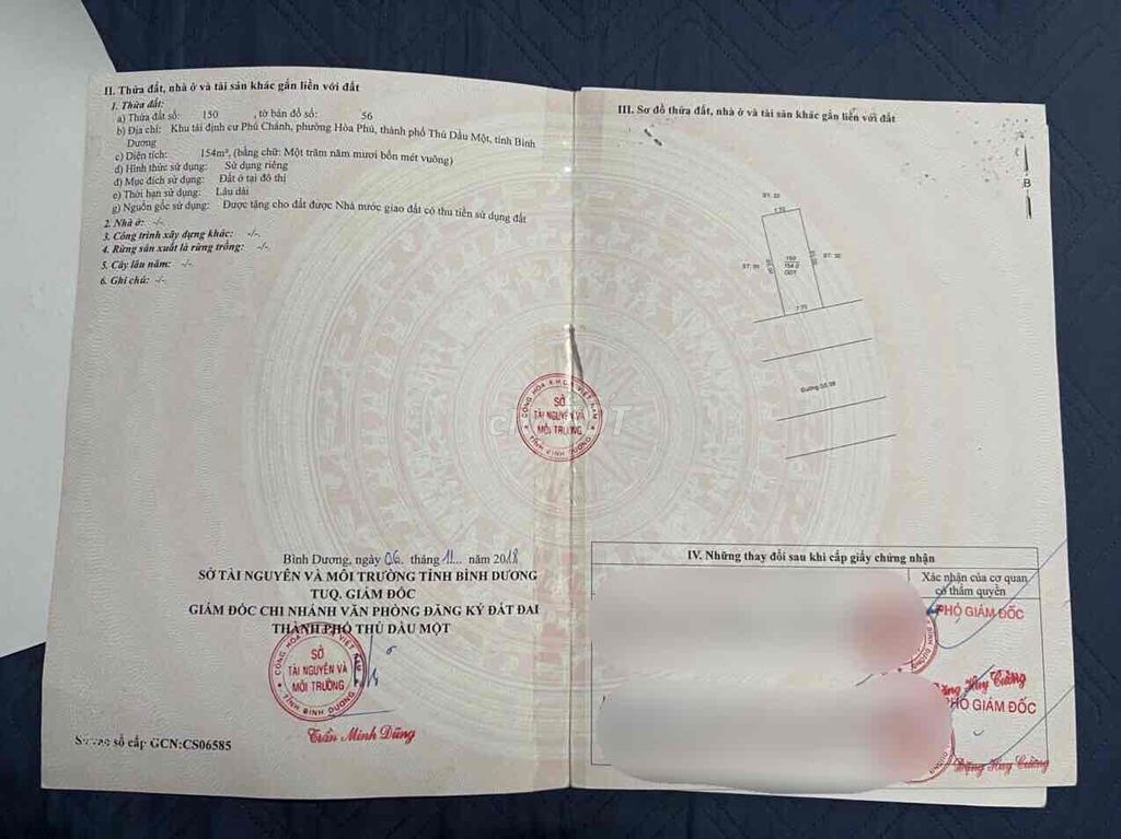 4338244 ảnh đại diện 1