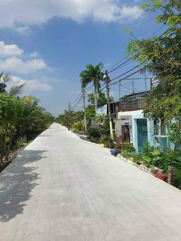 4340027 ảnh đại diện 2
