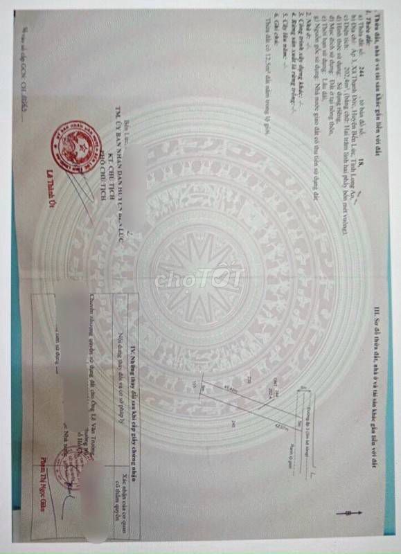 4338127 ảnh đại diện 2