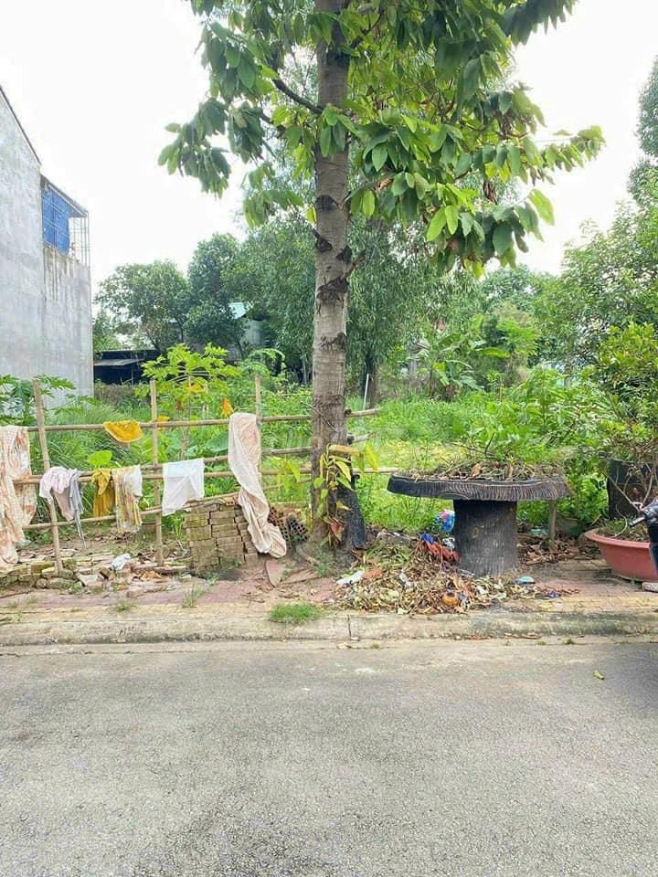 4339417 ảnh đại diện 1