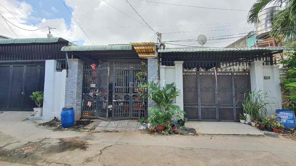 4339692 ảnh đại diện 1