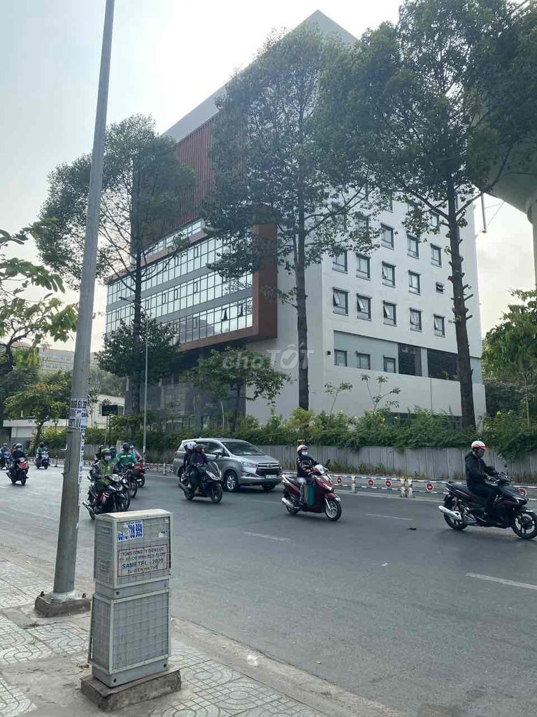 4339273 ảnh đại diện 2