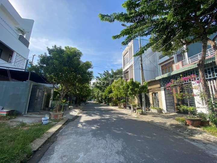 4335923 ảnh đại diện 1