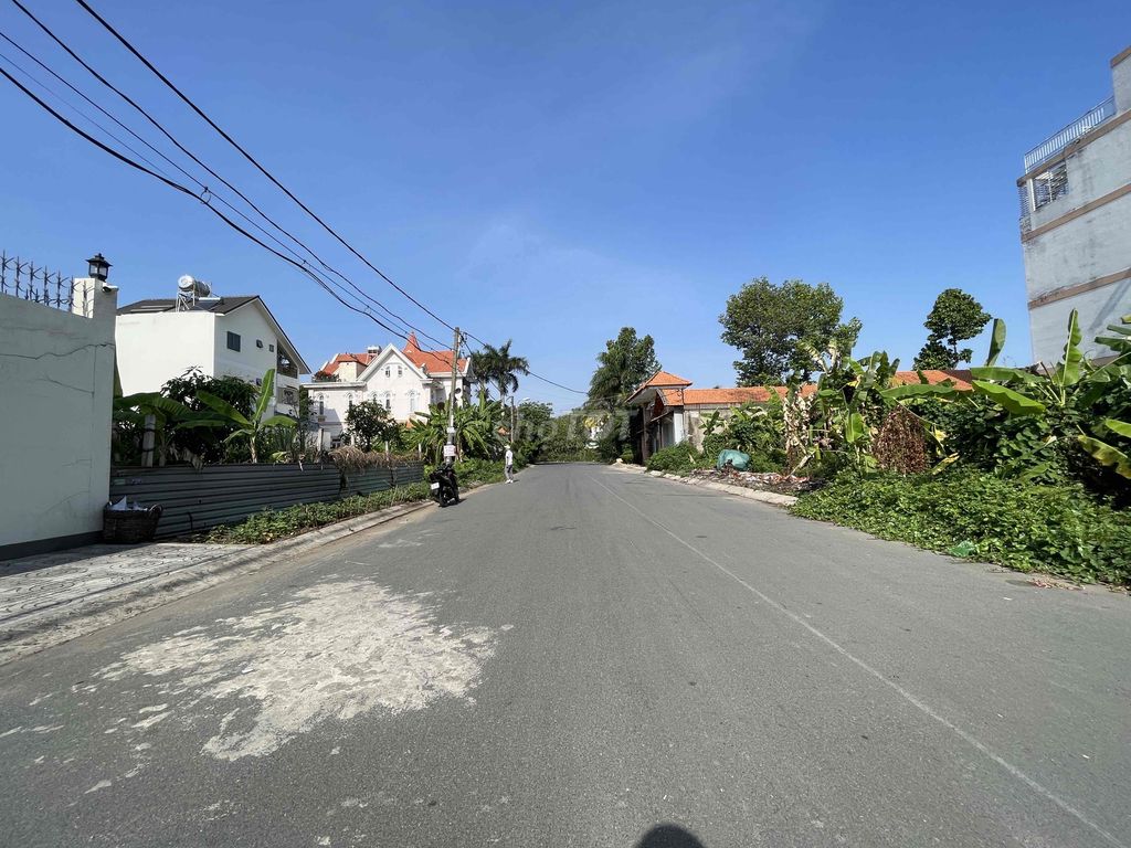 4338651 ảnh đại diện 2