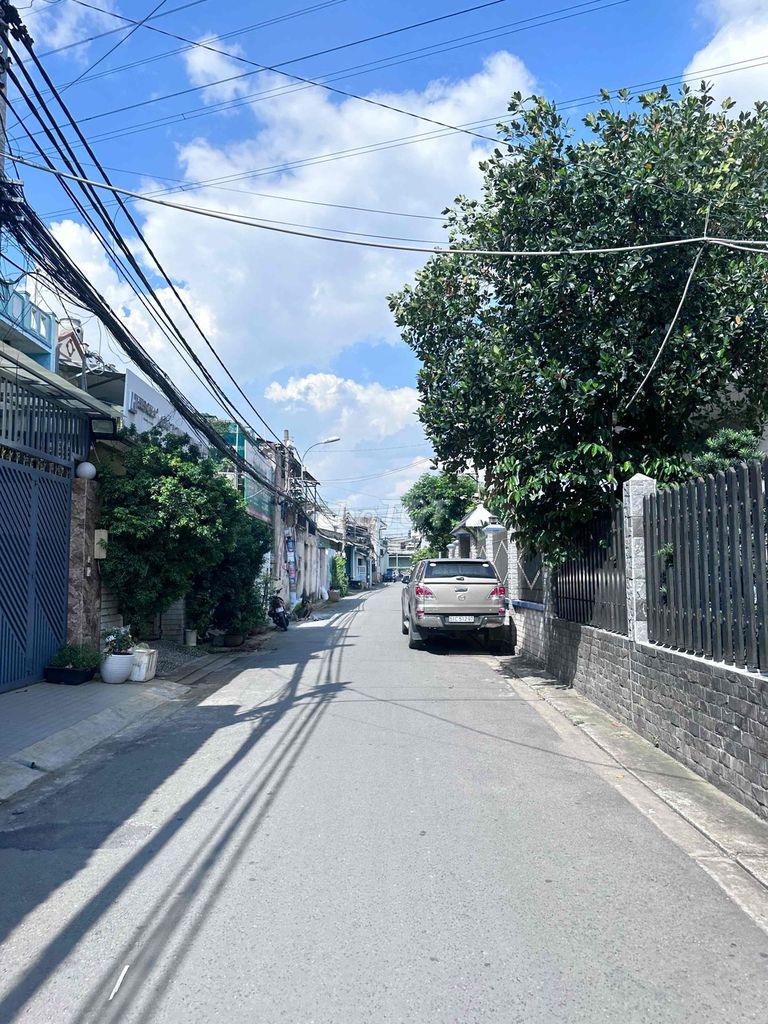 4338611 ảnh đại diện 2