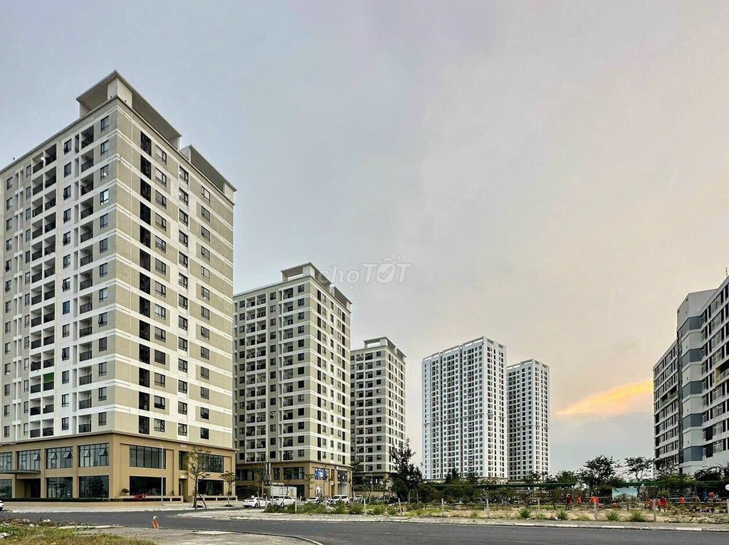 4336030 ảnh đại diện 1