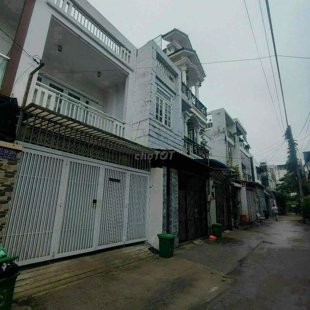 4337082 ảnh đại diện 1