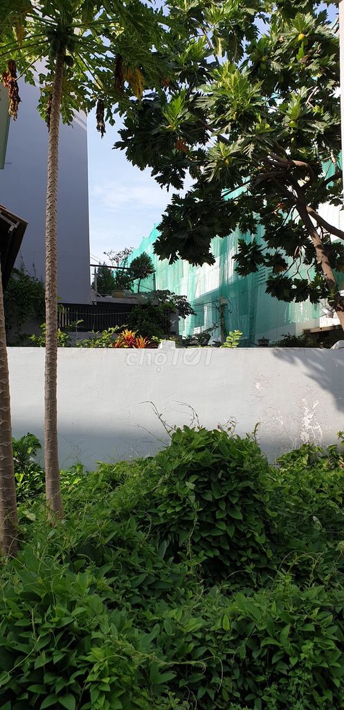 4337306 ảnh đại diện 1