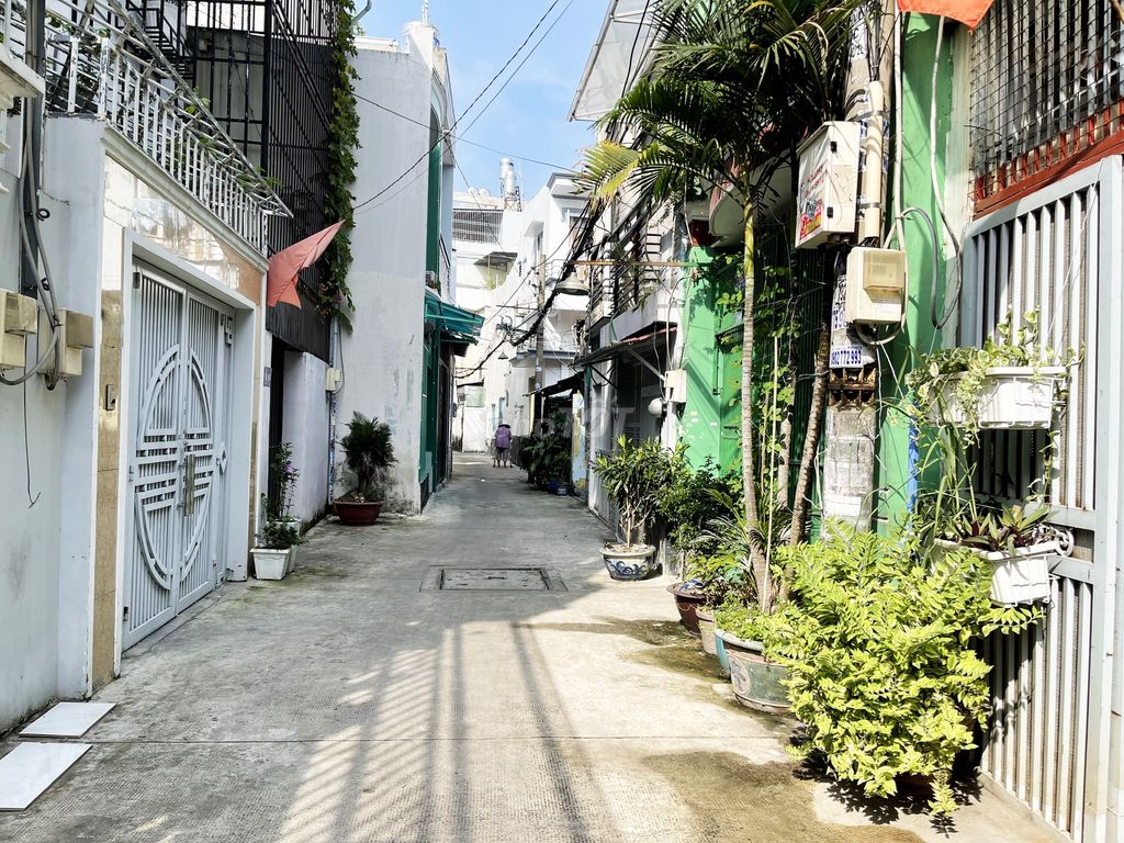 4337490 ảnh đại diện 1