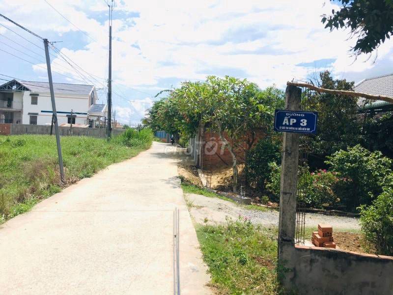 4338127 ảnh đại diện 1
