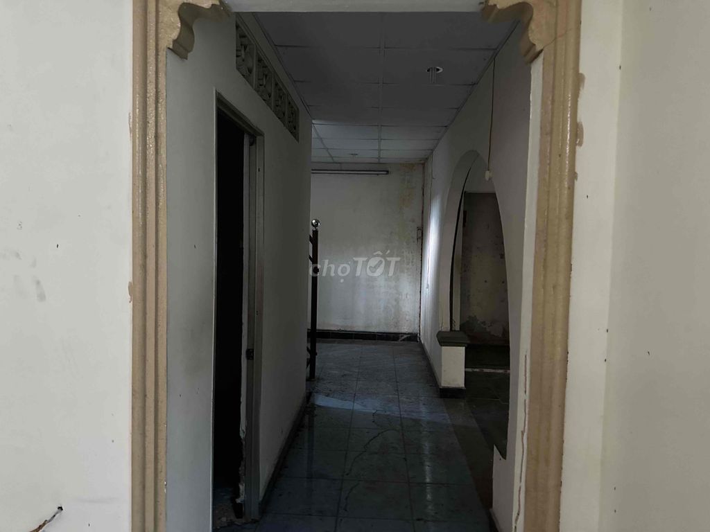 4336791 ảnh đại diện 1