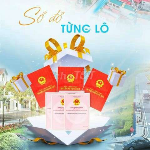 4338144 ảnh đại diện 1