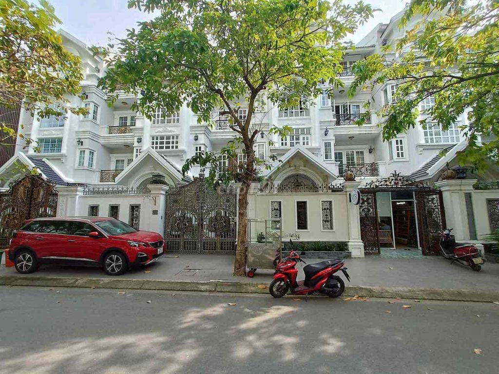 4337166 ảnh đại diện 2