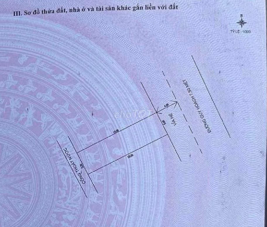 4338649 ảnh đại diện 2