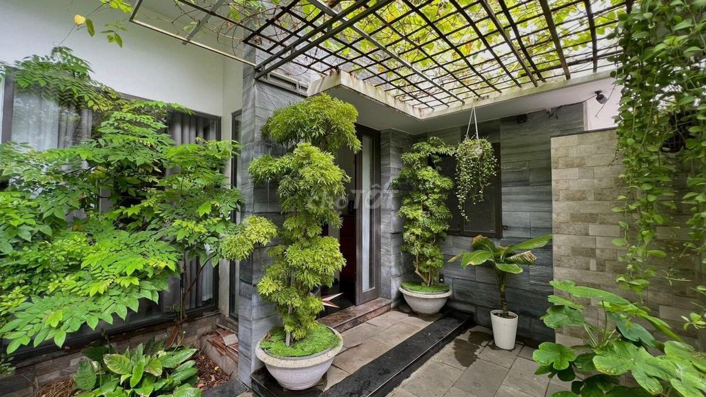4337731 ảnh đại diện 1