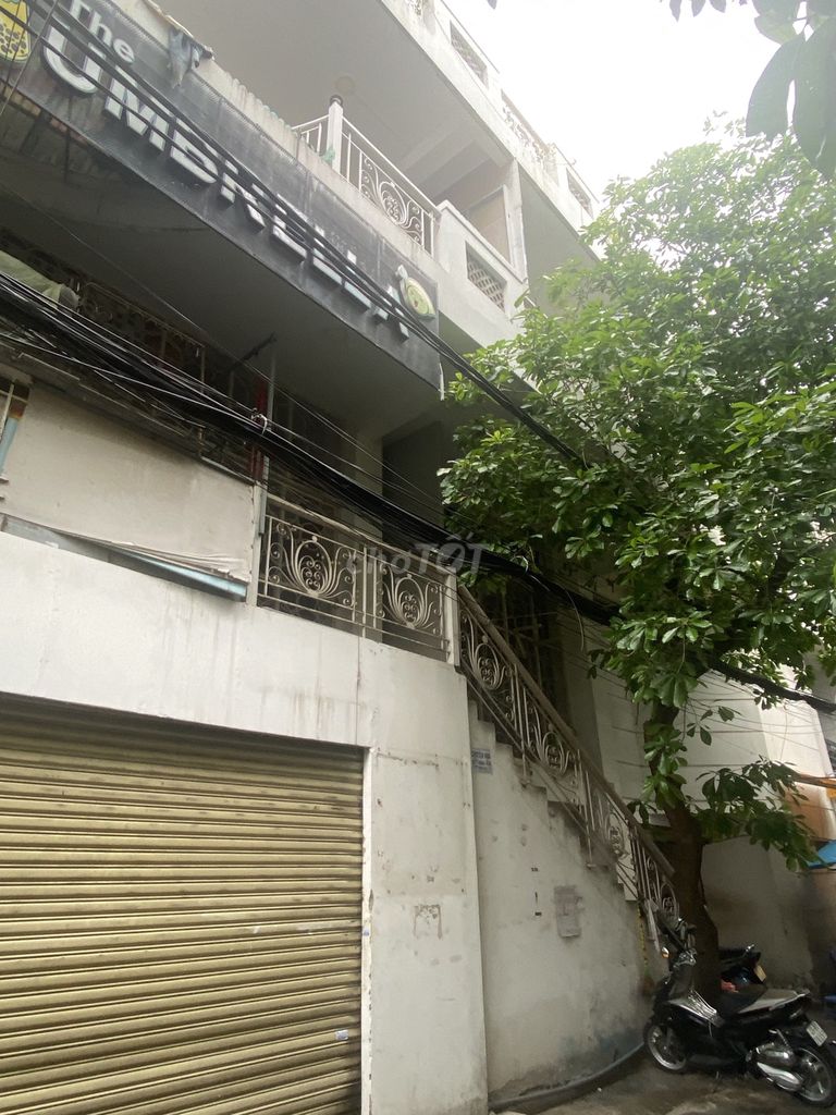 4337230 ảnh đại diện 1