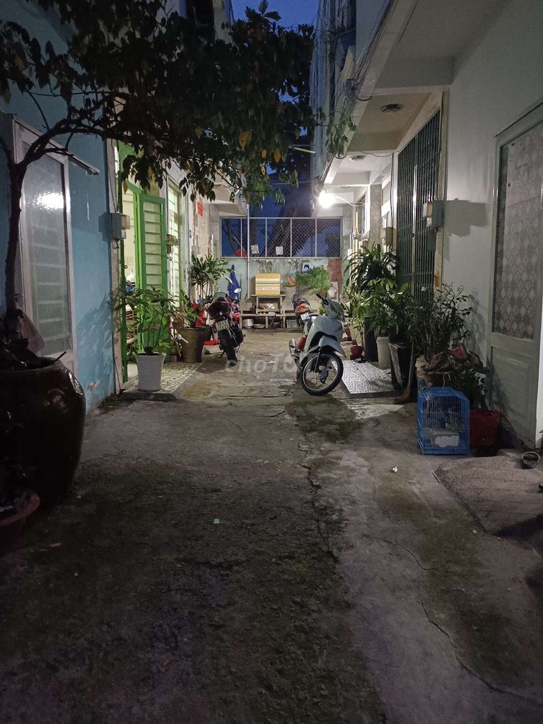 4336178 ảnh đại diện 2