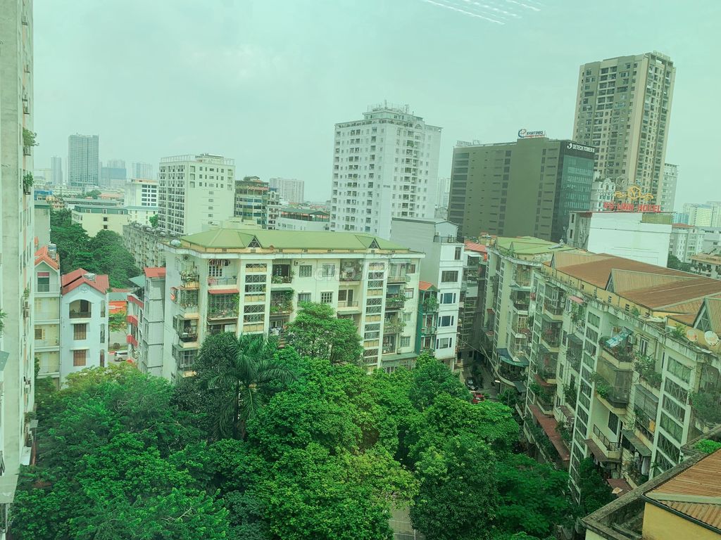 4338078 ảnh đại diện 2