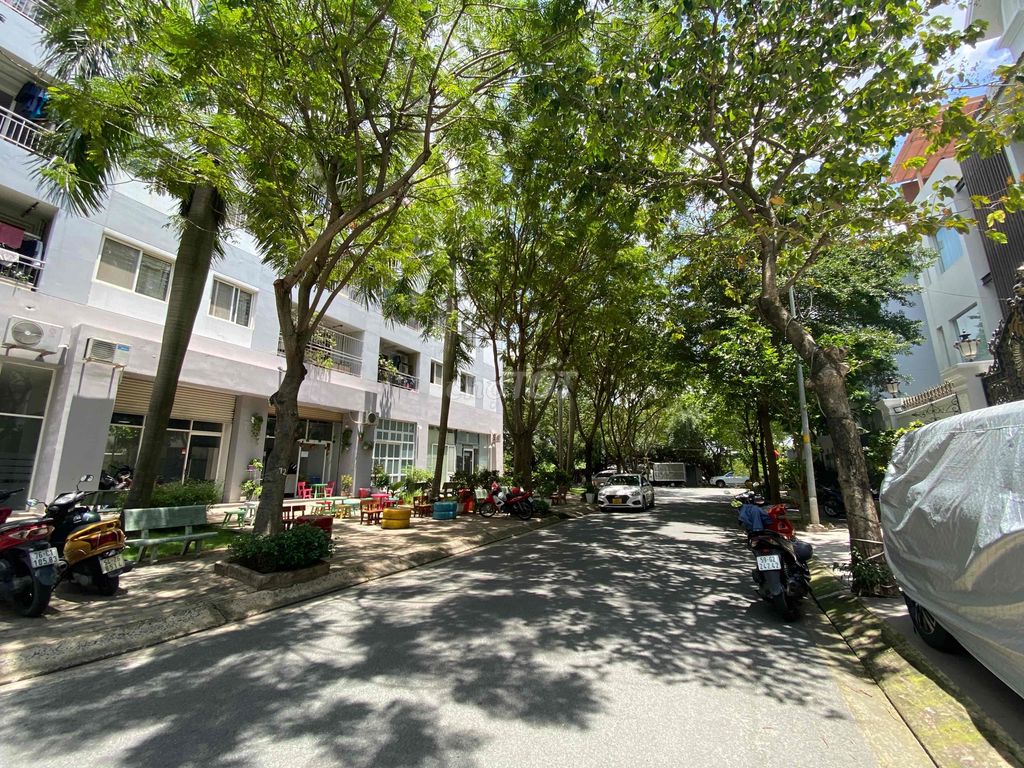 4337166 ảnh đại diện 1