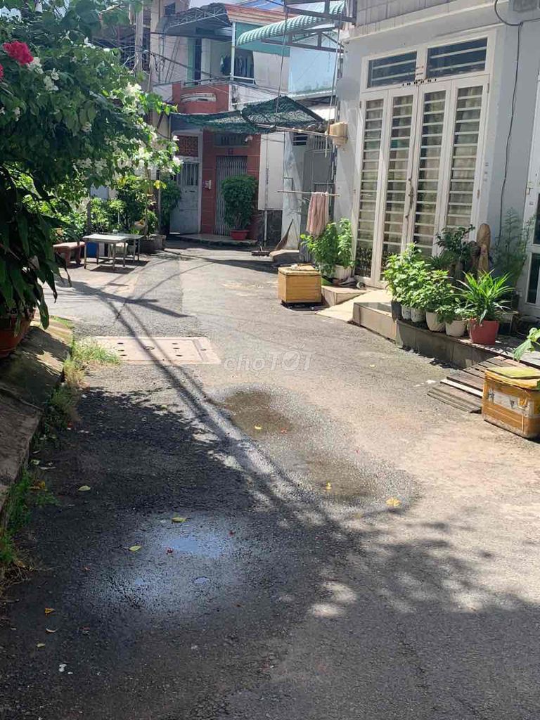 4336183 ảnh đại diện 1