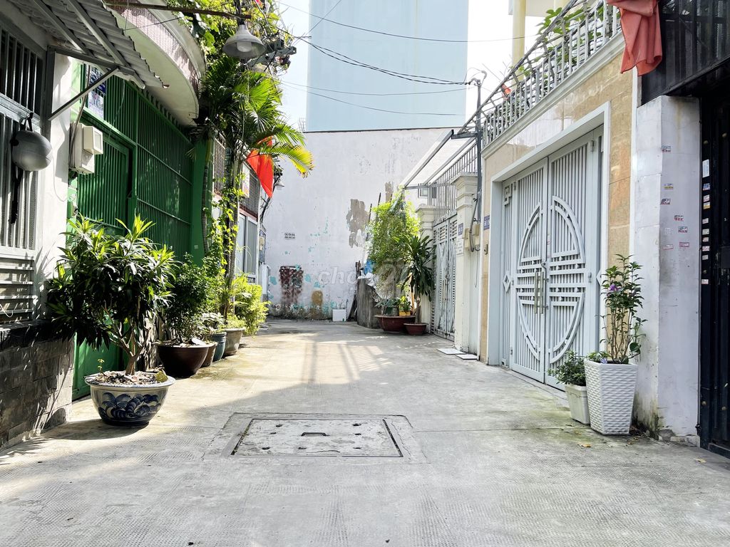 4337490 ảnh đại diện 2