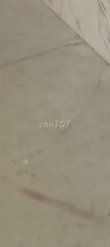 4336862 ảnh đại diện 2