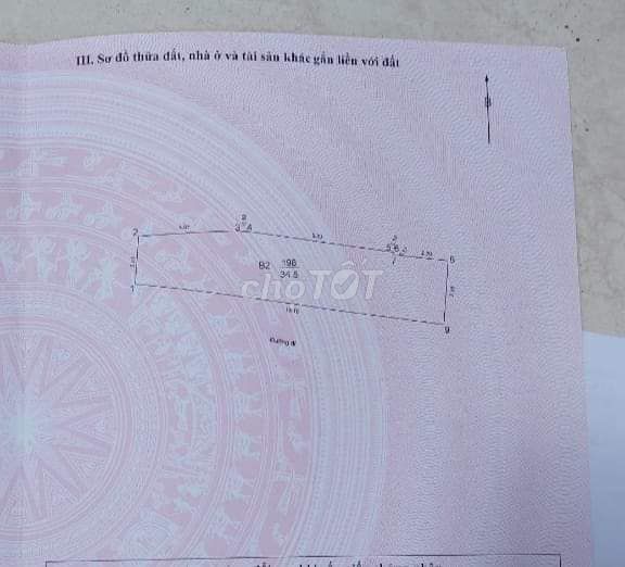 4337899 ảnh đại diện 2