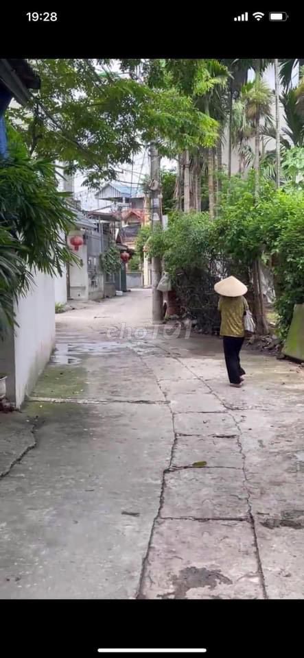 4336903 ảnh đại diện 1