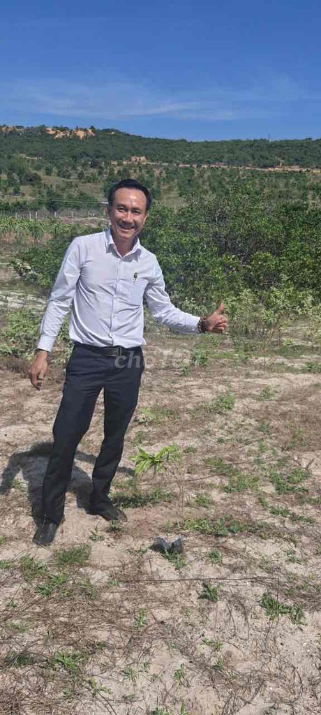 Cho Thuê Đất Trồng Thăng Long / Cây Ăn Trái Lâu Dài Bắc Bình Thuận