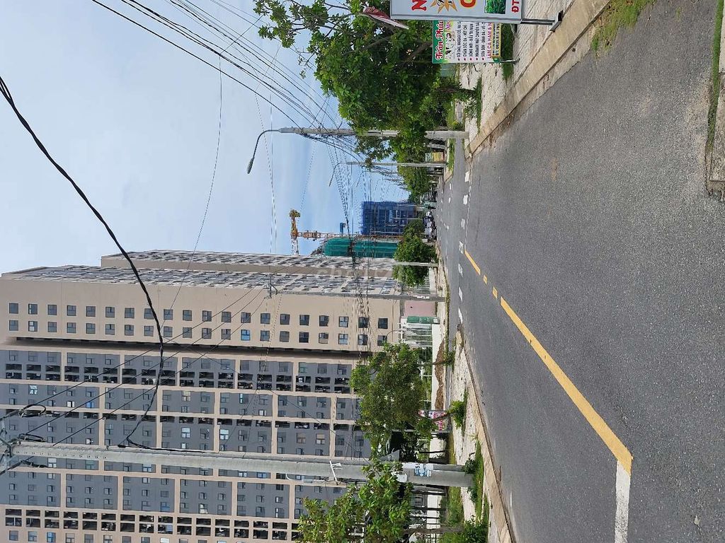 4336162 ảnh đại diện 1