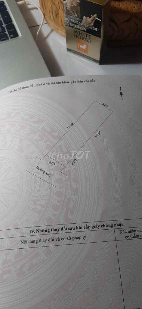 4338155 ảnh đại diện 2