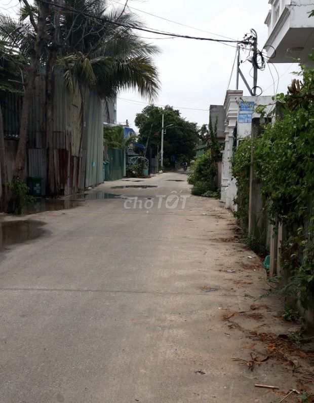 4337989 ảnh đại diện 1